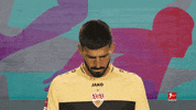 Vfb Stuttgart Football GIF by Bundesliga