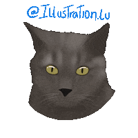 Chat Gatos Sticker