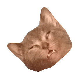 cute kitten STICKER by imoji