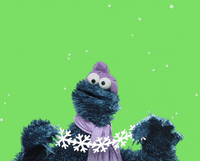 gif of Cookie Monster on a green background. He wears a hat and scarf and holds a paper snowflake chain. Text reads, "Happy Holidays!"