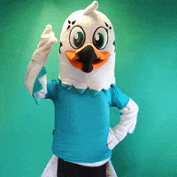 Velo GIF by B&B HOTELS - KTM