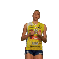 Pantere Imoco Sticker by ImocoVolley