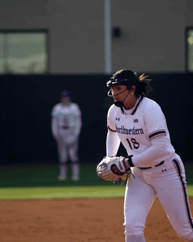 K Softball GIF by Northwestern Athletics