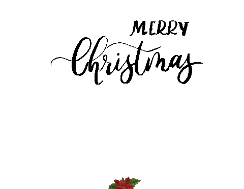Merry Christmas Sticker