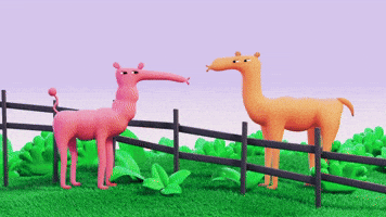 Camel Kiss