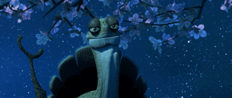 tony turtle GIF
