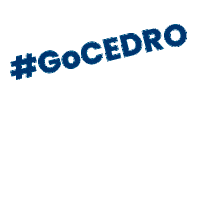 cedrotech cedro cedrotech cedro technologies cedro tech Sticker