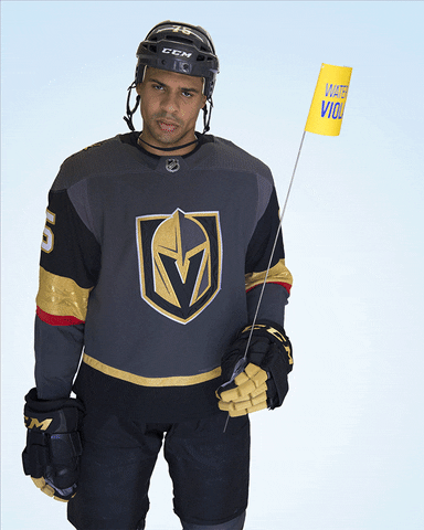 Vegas Golden Knights Snwa GIF by Southern Nevada Water Authority