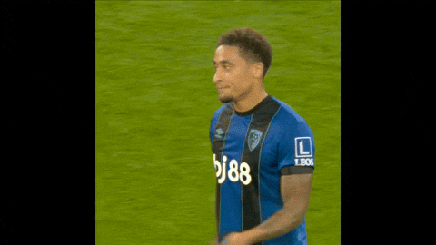 Premier League Ugh GIF by AFC Bournemouth