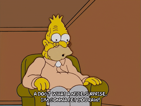 episode 16 grandpa simpson GIF