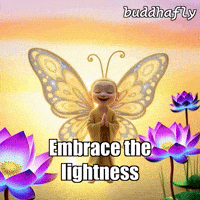 Joy Peace GIF by BuddhaFlyJourney