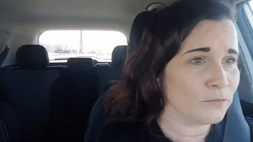 Woman Fluent in Dog-Speak Converses With Disapproving Corgi About Driving Etiquette