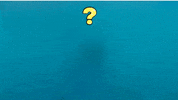 GIF by tripredictor