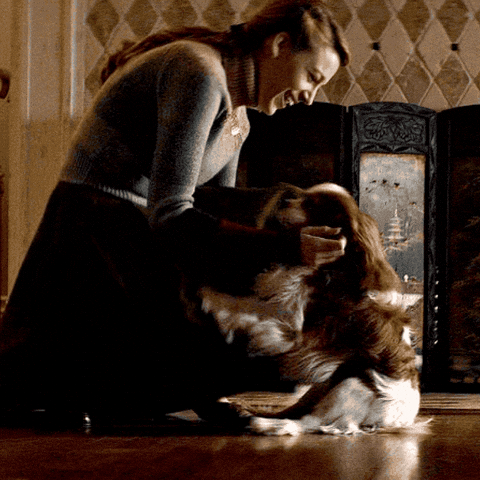I Love Dogs Omg GIF by Blake Lively Fan