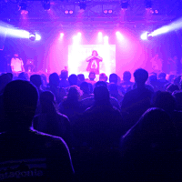 This Is It Winner GIF by Ashwin Gane