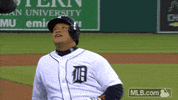 Major League Baseball Reaction GIF by Detroit Tigers