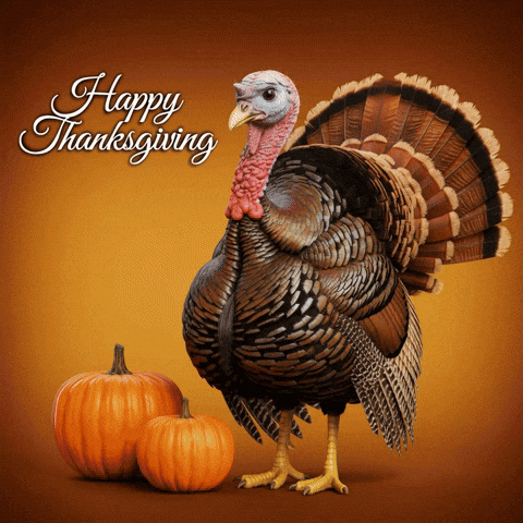 Thanksgiving Happy Holidays GIF by MidwestHubTV