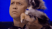 Animal Planet GIF by Puppy Bowl