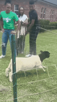 Come Here Got You GIF by Jason Earls