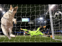 Goal Baobao GIF