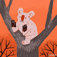 Animation Domination Fire GIF by gifnews