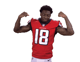 Atlanta Falcons Sticker Sticker by NFL