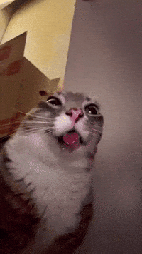 Drool GIF