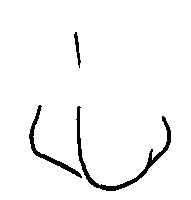 tloopscollage dani newman Sticker by SoulfulSock