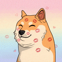 Valentines Day Love GIF by Doge Pound