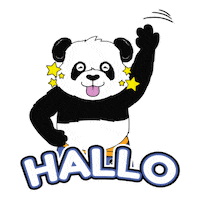 Hallo Sticker by Panda Auto Detailing