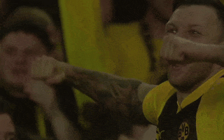Champions League Football GIF by UEFA
