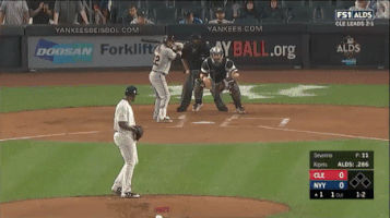 Yankees GIF by Jomboy Media