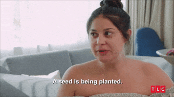 Idea Seed GIF by TLC