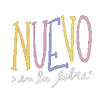 Nuevo Paraguay Sticker