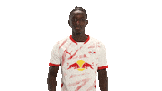Rb Leipzig Thumbs Up Sticker by Bundesliga
