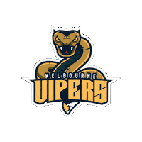 volleyballvictoria volleyball vipers melbournevipers vipersvolleyball Sticker