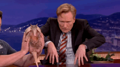 conan obrien armadillo GIF by Team Coco