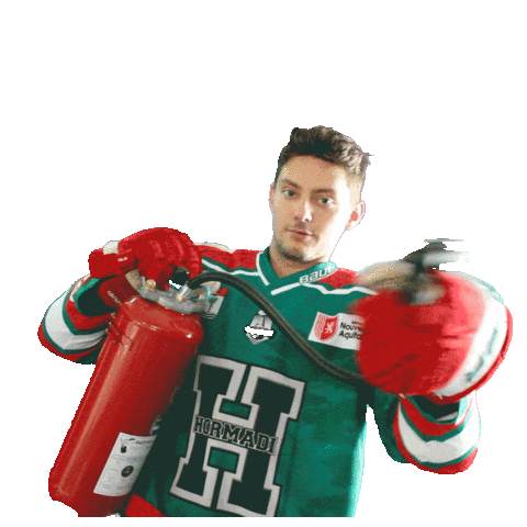 AngletHormadi giphyupload hockey kevin anglet Sticker