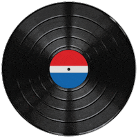 Disco Sticker by Popsockets Colombia