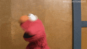 tonight show elmo GIF