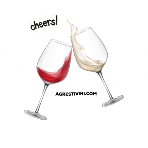 agrestivini wine puglia andria italianwine GIF