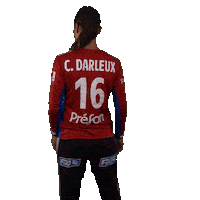 Ffhandball Sticker by Fédération Française de Handball