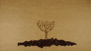 stop motion time GIF by SoulPancake