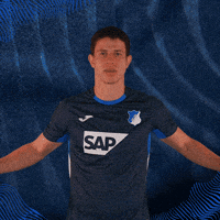Sport Bundesliga GIF by TSG Hoffenheim