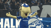 Football Soccer GIF by FC Schalke 04