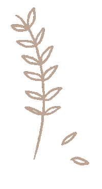 KimberlyLynnJohnson flower kimjohnson flower stem Sticker