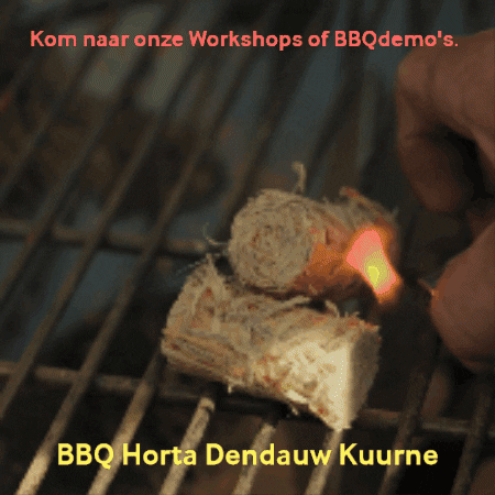 lievendendauw giphygifmaker bbq barbecue horta GIF