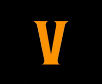Vesta GIF by Vestacalcio