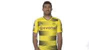 borussia dortmund love Sticker by Bundesliga