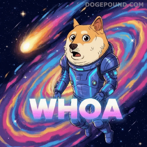 Dog Wow GIF by Doge Pound